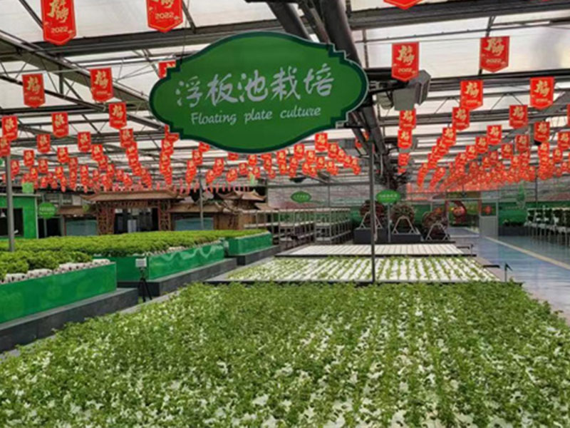 無(wú)土栽培19