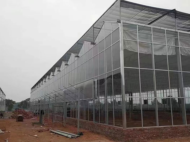 青州洪霖溫室工程有限公司_玻璃溫室