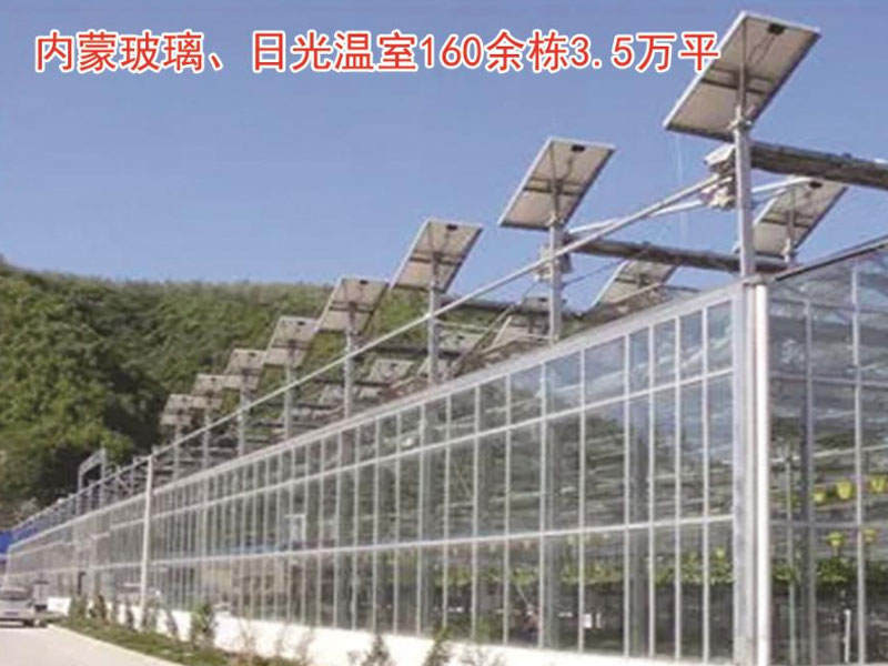 內(nèi)蒙玻璃、日光溫室160余棟3